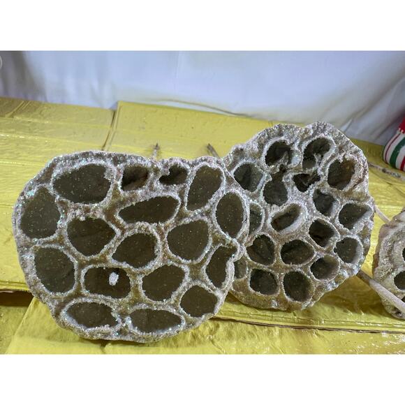 Vintage Lotus Seed Pod Floral Picks Christmas Holiday White Silver Set - Picture 7 of 16